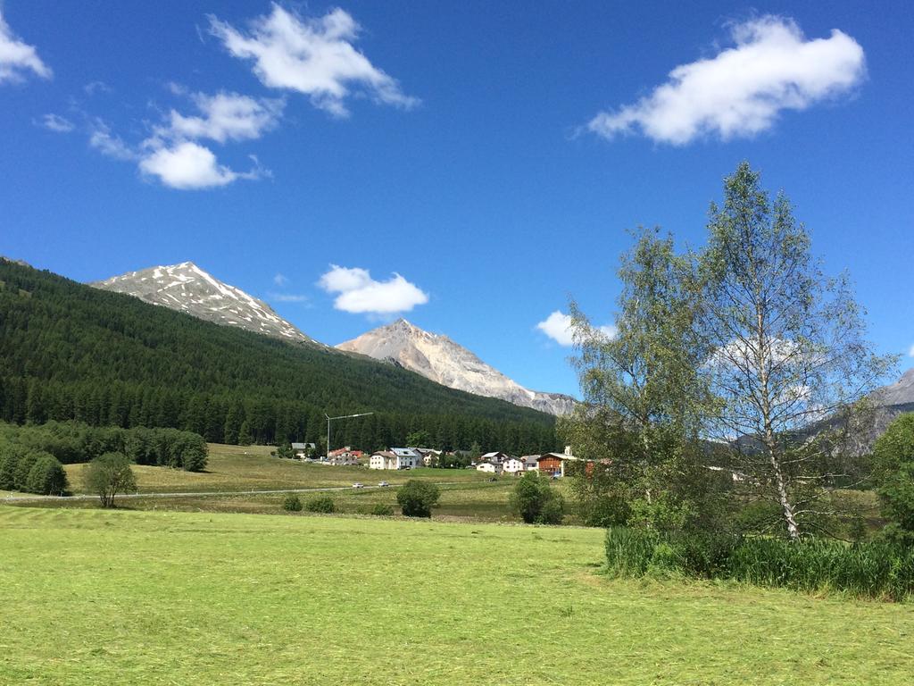 Hotel Landgasthof Staila Fuldera Exteriör bild
